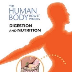 کتاب لاتین بدن انسان چگونه کار می کند: گوارش و تغذیه (2009)