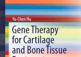 کتاب لاتین ژن درمانی برای مهندسی بافت استخوان و غضروف (2014)