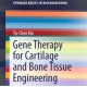 کتاب لاتین ژن درمانی برای مهندسی بافت استخوان و غضروف (2014)