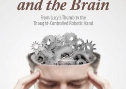 کتاب لاتین دست و مغز (2014)