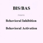 پرسشنامه بازداری رفتاری و فعال سازی رفتاری (BIS/BAS)