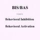 پرسشنامه بازداری رفتاری و فعال سازی رفتاری (BIS/BAS)