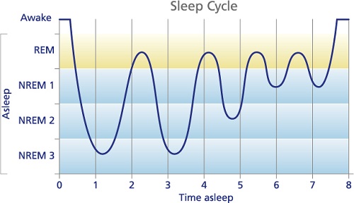 انواع خواب و مراحل خواب طبیعی