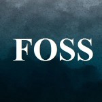 پرسشنامه ترس از موفقیت (FOSS)